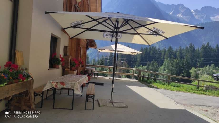 Bun venit la Agritur Malgola